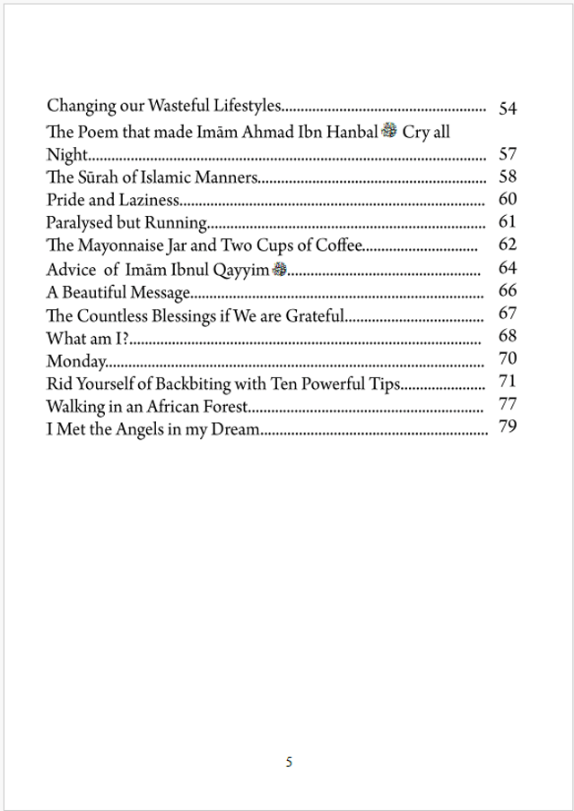 Ideal Student – Paperback