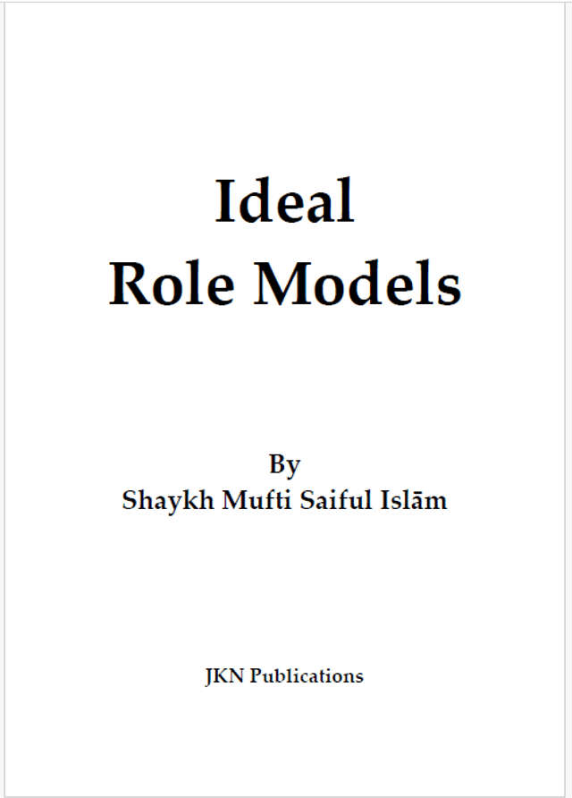Ideal Role Model – Paperback